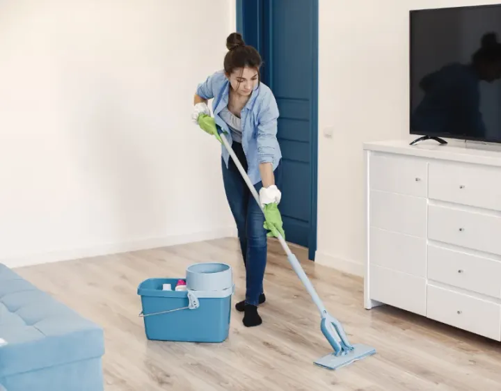 Femme de ménage Alleyrac